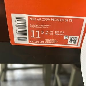 Nike Air Zoom PegasusTB